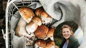 Glosa Anny Grosmanové