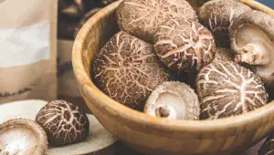 Čerstvé houby shiitake