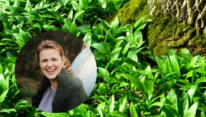 Za medvědím česnekem