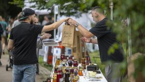 13. Apetit piknik