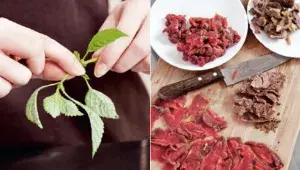 Vietnamská polévka pho bo – bylinky a maso