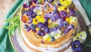 Piškotový dort s borůvkovým krémem a šampaňským želé