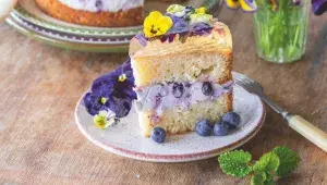 Piškotový dort s borůvkovým krémem a šampaňským želé