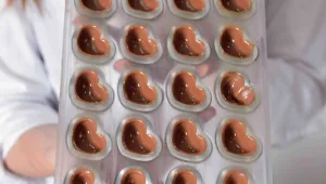 Pralinky z mléčné čokolády s citronovým karamelem