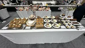 Prezentace českého týmu