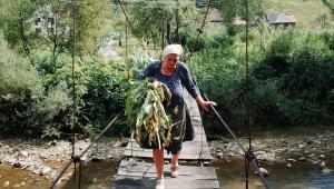 Modré zóny