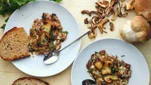 Smaženice ze sušených hub