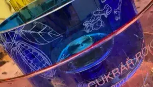 Pohár pro Cukráře roku