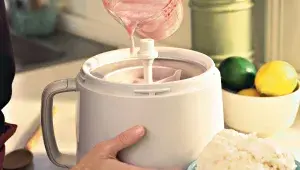 Výroba domácí zmrzliny