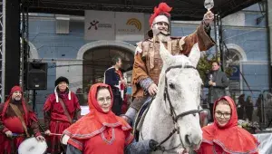 Svatomartinské víno