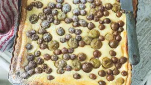 Tvarohový koláč s angreštem