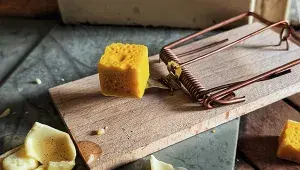 Cheesecake podle Vojty Vrtišky