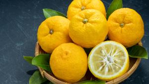 Yuzu