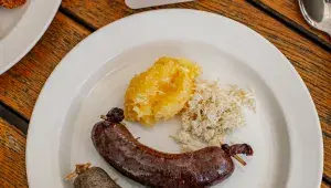 S naším slovníkem si jitrnice a jelita už nespletete