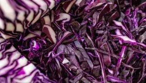 Příprava svatomartinského zelí podle Lokálu