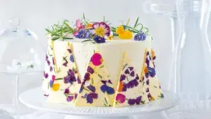 Vítěz narozeninové soutěže z roku 2019