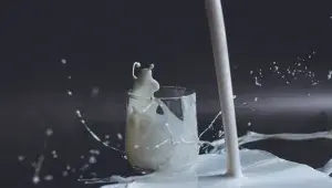 Bezlaktózové mléko