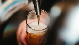 Pivo