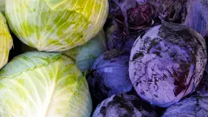 bílé a červené zelí