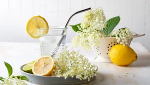 Limonáda z černého bezu