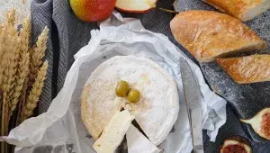 sýr s bílou plísní a bageta