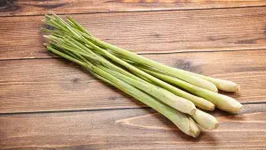 Citronová tráva (lemongrass)