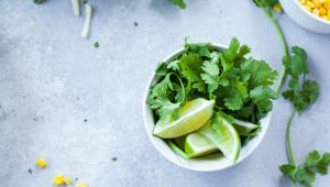 coriander-lindsay-moe-WZzrQX5k2Ug-unsplash.jpg