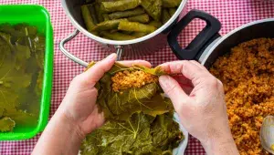 Plněné vinné listy