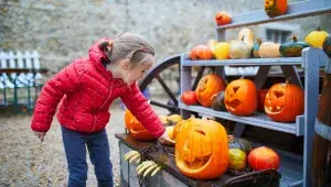 Dýňová farma halloween
