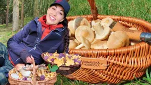 Šumavská houbička