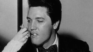 Elvis
