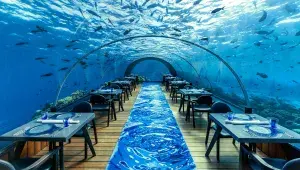 Undersea Restaurant -  Hurawalhi
