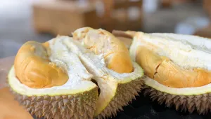 Král všeho ovoce, smradlavý durian