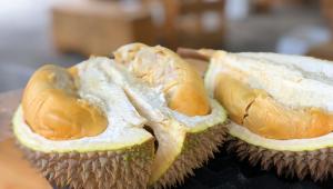 Král všeho ovoce, smradlavý durian
