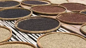 Různé druhy Kampotského pepře