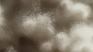 Koji – ušlechtilá plíseň, kolem které se už roky točí vše, co Kojibakers dělají