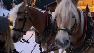 Koňské spřežení Filzmoos