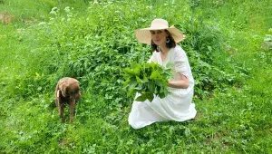 Diana Mozoláková sbírá bylinky po celý rok