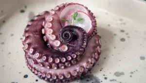 Připravte si tu nejlepší chobotnici