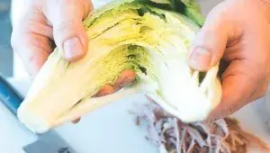 Maiale tonnato - krok 10 - příprava salátu