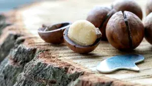 Makadamové ořechy: Proč jsou nejdražší, jak chutnají a proč se stanou hvězdou vašeho srdce?