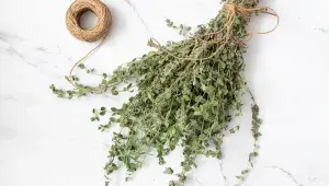 Majoránku sušte nejlépe ve svazcích, na suchém místě s dobrou cirkulací vzduchu
