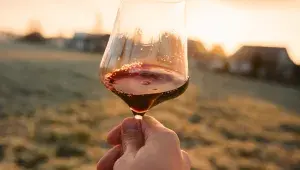 červené víno ve sklenici