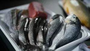 Ryby podle Marka Raditsche