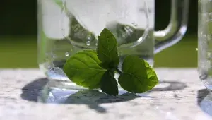 máta-sklo-drink-léto-kapalina