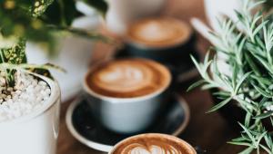 Kafe