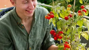 Rajčata na balkoně? Žádný problém!