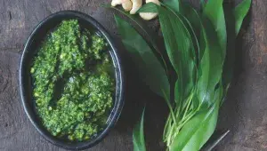 Pesto z medvědího česneku