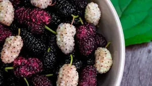 Bílé a černé moruše v misce