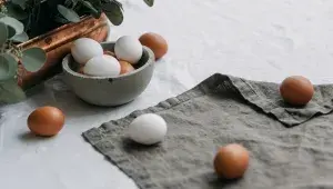 Bílá a hnědá vejce